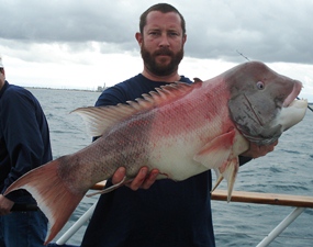 Deep Fishing Newport Beach on Fish Catalina Island Fishing Grounds Off    freelance ocean tours